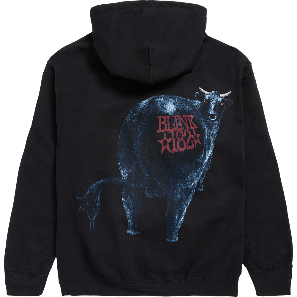 Dude Ranch Hoodie Back