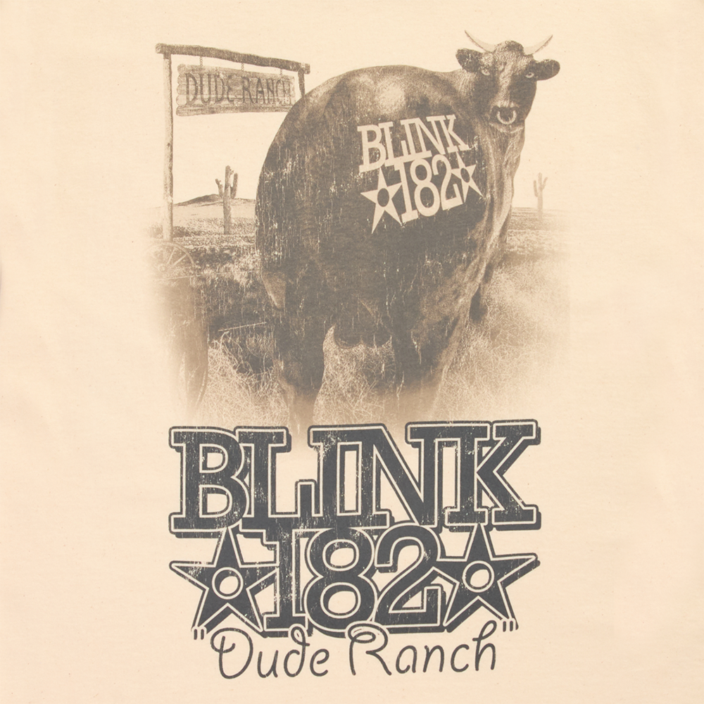Dude Ranch Longsleeve Detail