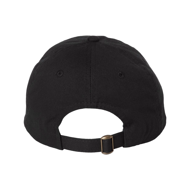 PAC-MAN x BLINK-182 Dad Hat Back